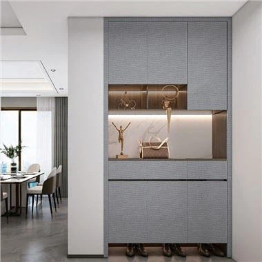 Cabinet de intrare