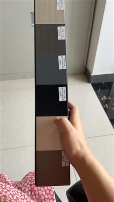 Cum este vopsit profilul de aluminiu?